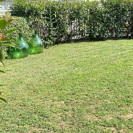 The - Large With Private Pettenasco